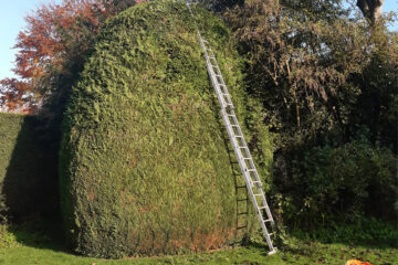 Tree & Hedge Services